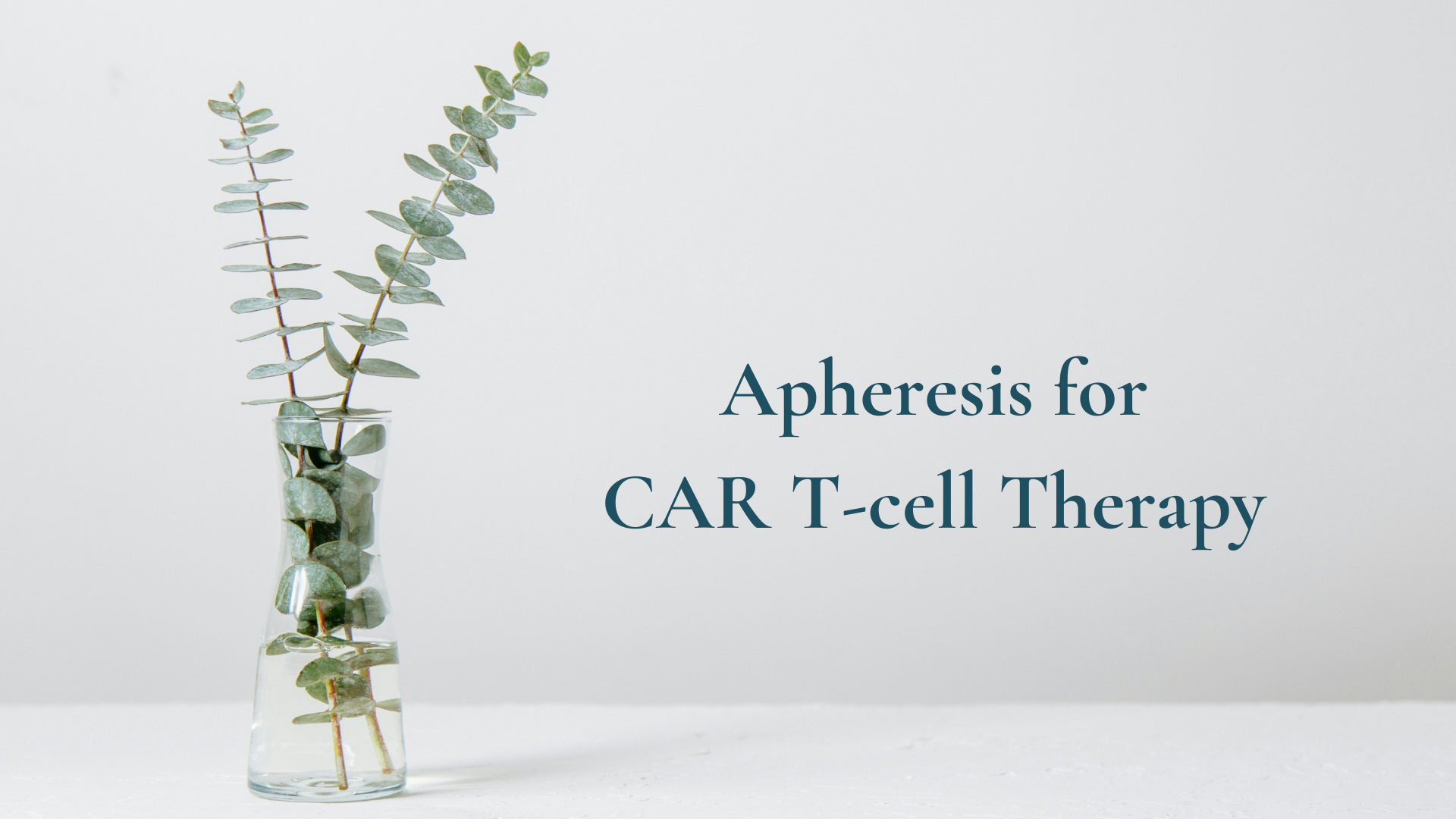 Daily Dose: January 4th, 2021- Apheresis Pre-Op